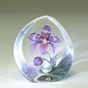 Orchid, Purple